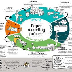 Emballage écologique, Biodégradable Et Durable | Lactips