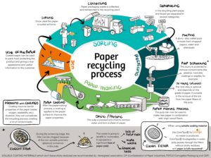 What Is The Paper Recycling Process? - Lactips